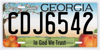 GA license plate CDJ6542