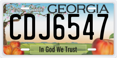 GA license plate CDJ6547