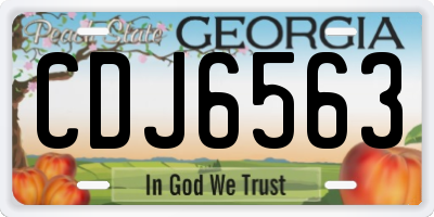 GA license plate CDJ6563