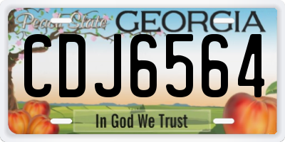 GA license plate CDJ6564