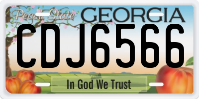 GA license plate CDJ6566