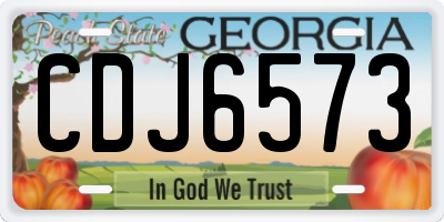 GA license plate CDJ6573