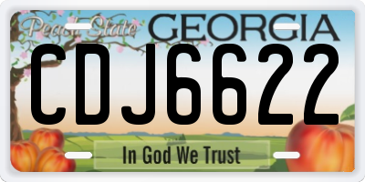GA license plate CDJ6622