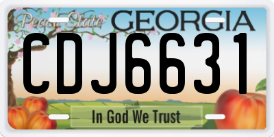 GA license plate CDJ6631