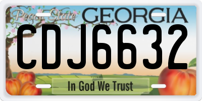 GA license plate CDJ6632