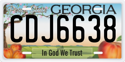 GA license plate CDJ6638