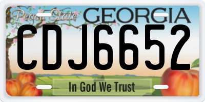GA license plate CDJ6652