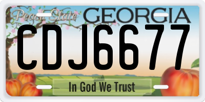 GA license plate CDJ6677