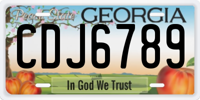 GA license plate CDJ6789