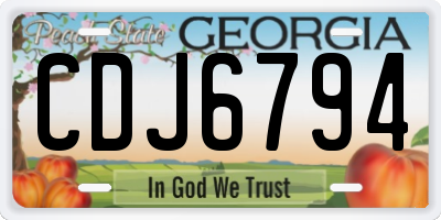 GA license plate CDJ6794
