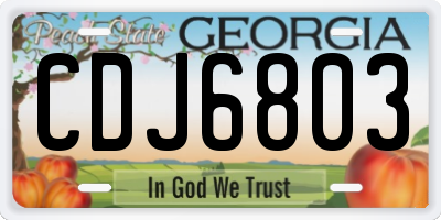 GA license plate CDJ6803