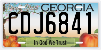 GA license plate CDJ6841