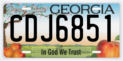 GA license plate CDJ6851