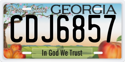 GA license plate CDJ6857