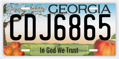 GA license plate CDJ6865