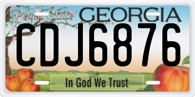 GA license plate CDJ6876