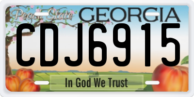 GA license plate CDJ6915