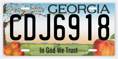 GA license plate CDJ6918