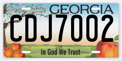 GA license plate CDJ7002