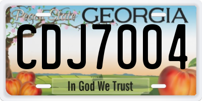 GA license plate CDJ7004