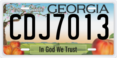 GA license plate CDJ7013