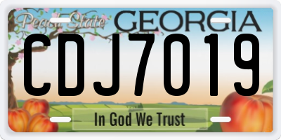 GA license plate CDJ7019