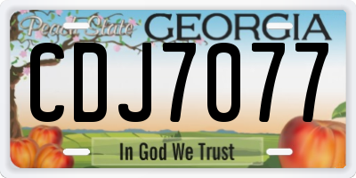 GA license plate CDJ7077