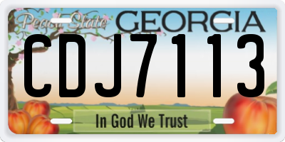 GA license plate CDJ7113