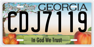 GA license plate CDJ7119
