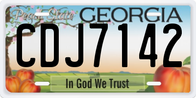 GA license plate CDJ7142