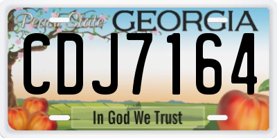 GA license plate CDJ7164