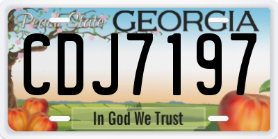 GA license plate CDJ7197