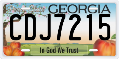 GA license plate CDJ7215