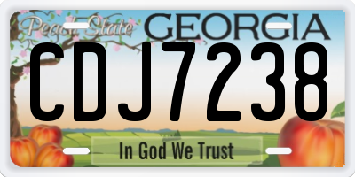 GA license plate CDJ7238