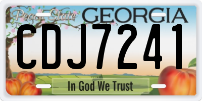 GA license plate CDJ7241