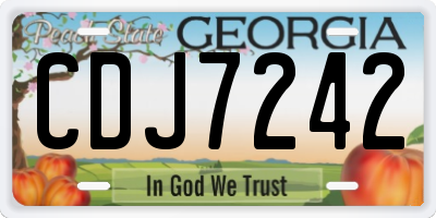 GA license plate CDJ7242