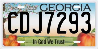 GA license plate CDJ7293