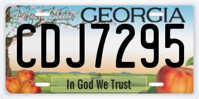 GA license plate CDJ7295