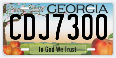 GA license plate CDJ7300