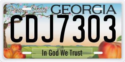 GA license plate CDJ7303
