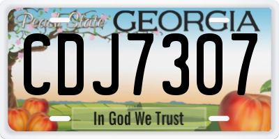 GA license plate CDJ7307