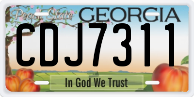 GA license plate CDJ7311