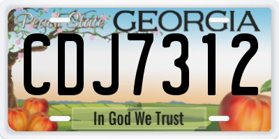 GA license plate CDJ7312