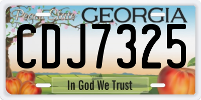 GA license plate CDJ7325
