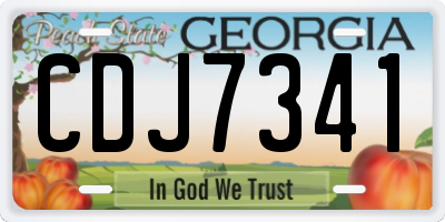 GA license plate CDJ7341