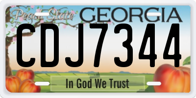 GA license plate CDJ7344