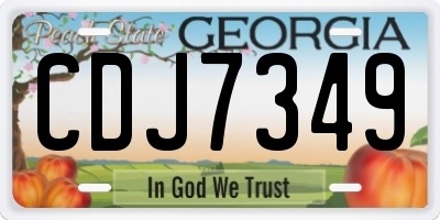 GA license plate CDJ7349
