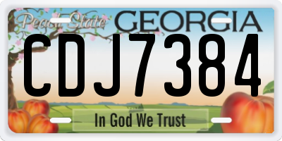 GA license plate CDJ7384
