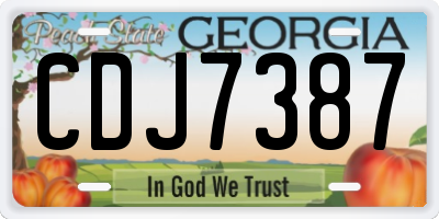 GA license plate CDJ7387