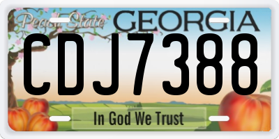 GA license plate CDJ7388